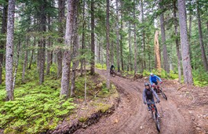 Three people mountain bike through the woods