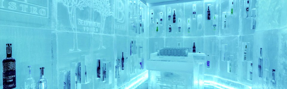 Ketel One Vodka Tasting