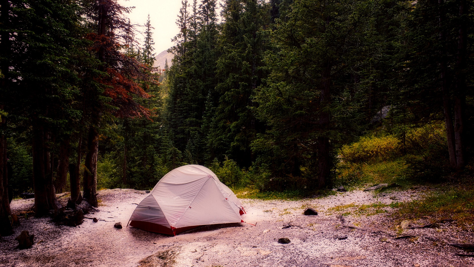 A tent in the woods