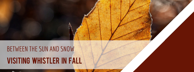 Copy-of-Copy-of-Whistler-Lift-Tickets-Banner Copy-of-Copy-of-Whistler-Lift-Tickets-Banner