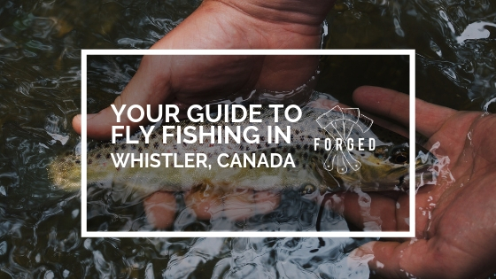 Forged Banner fly fishing Whistler