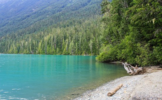 cheakamus lake whistler
