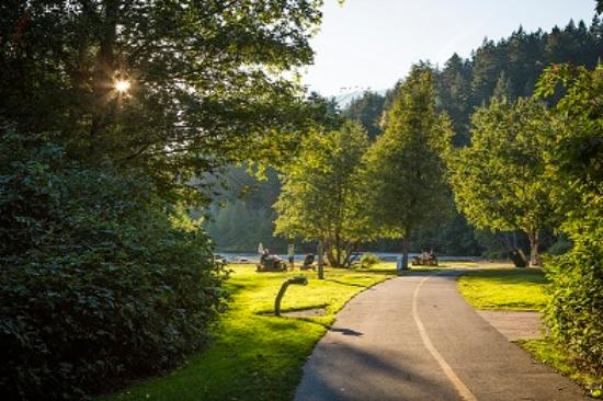 a path with trees on the side of a road