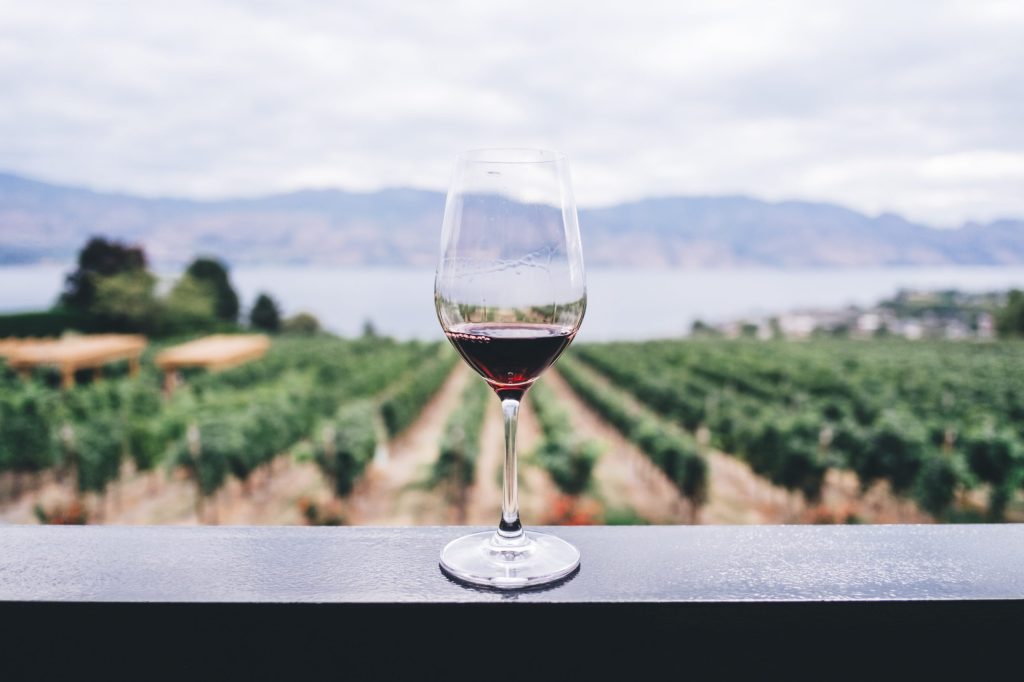 a glass of wine, in BC winery in background
