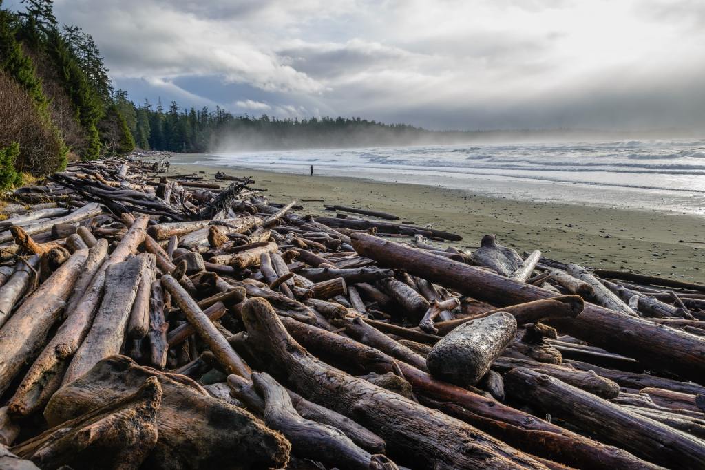tofino chesterman beach