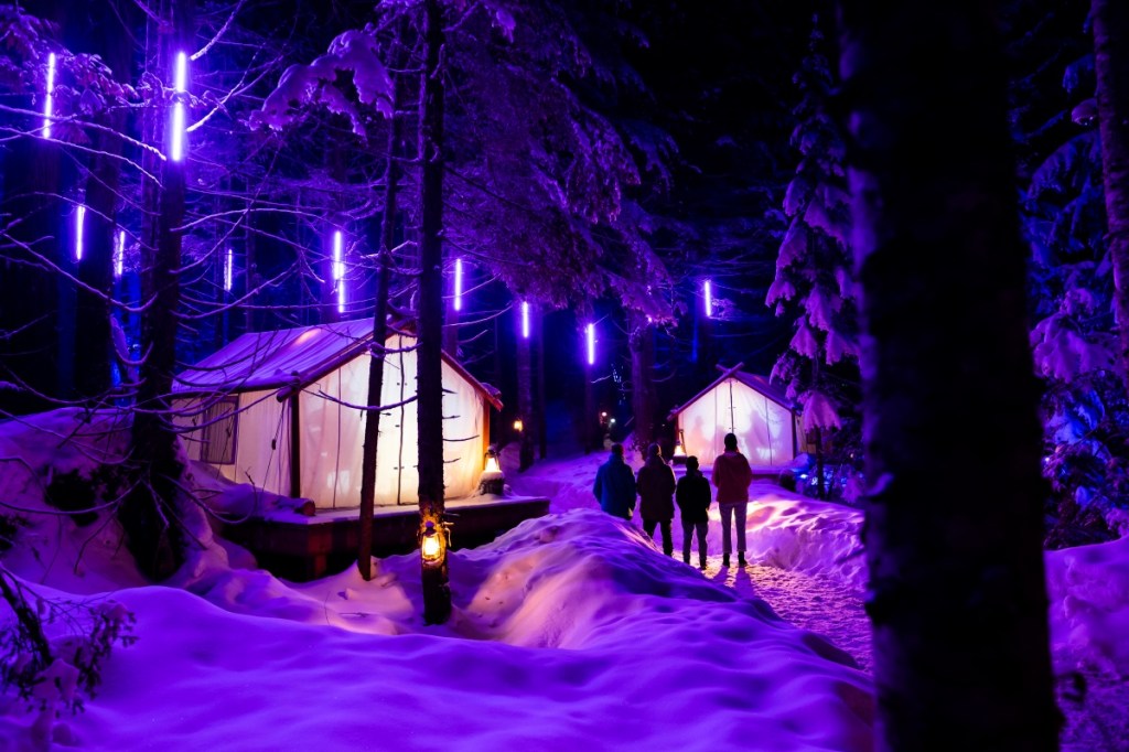 Winter purple lighting Vallea lumina night walk.