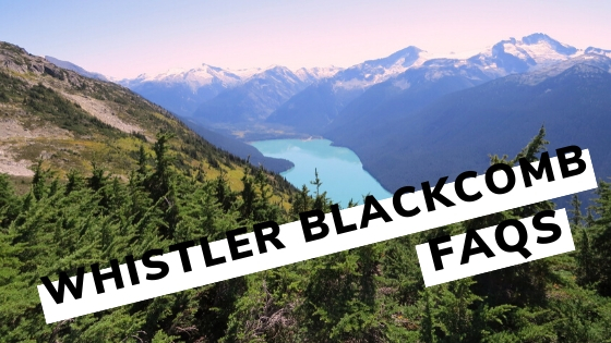 Whistler-Blackcomb-FAQ-Forged Whistler Blackcomb FAQ banner