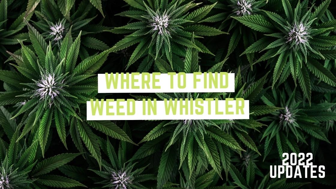 Forged where to find cannabis dispensaries in Whistler weed in whistler blog header