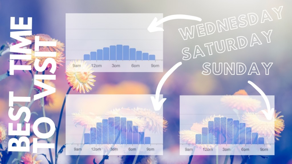 Graph of best times to visit scandinave Spa
